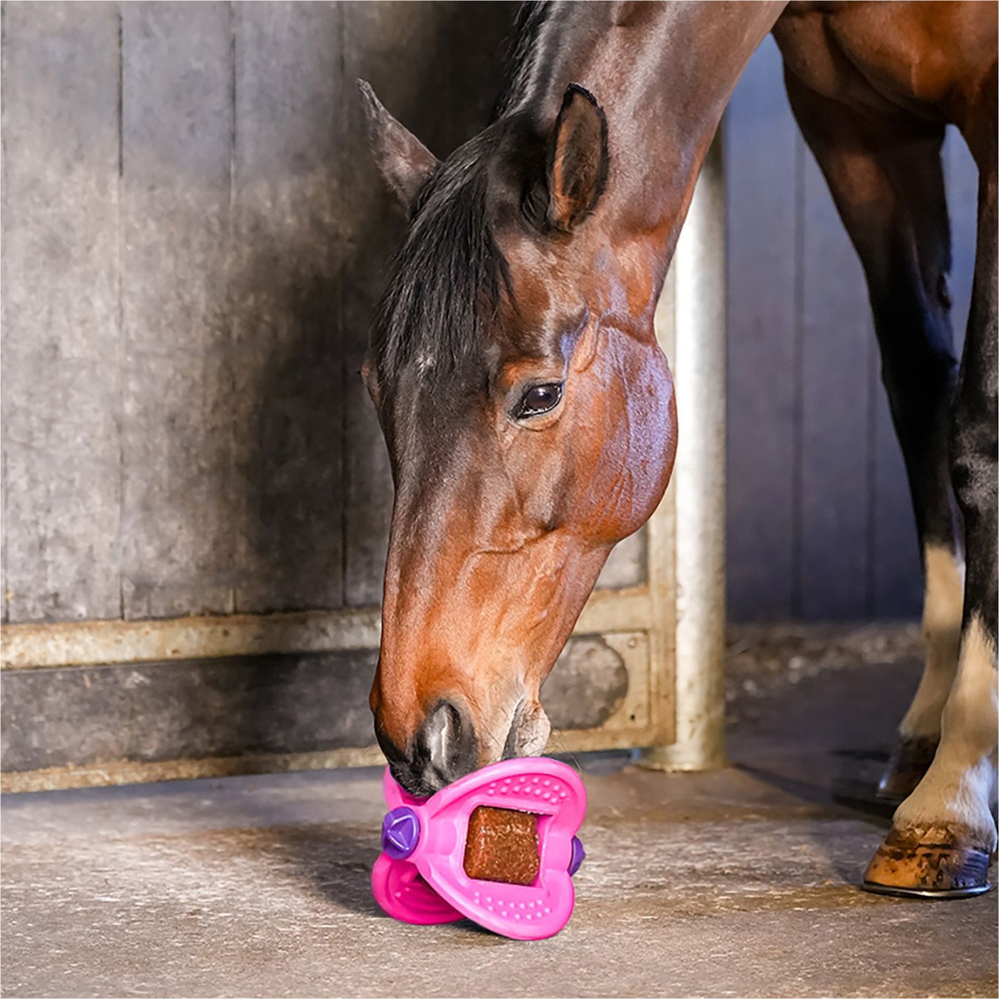 2026 Bizzy Horse Draaiende Bal 1571031 - Pink